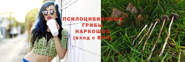 гидра Михайловск