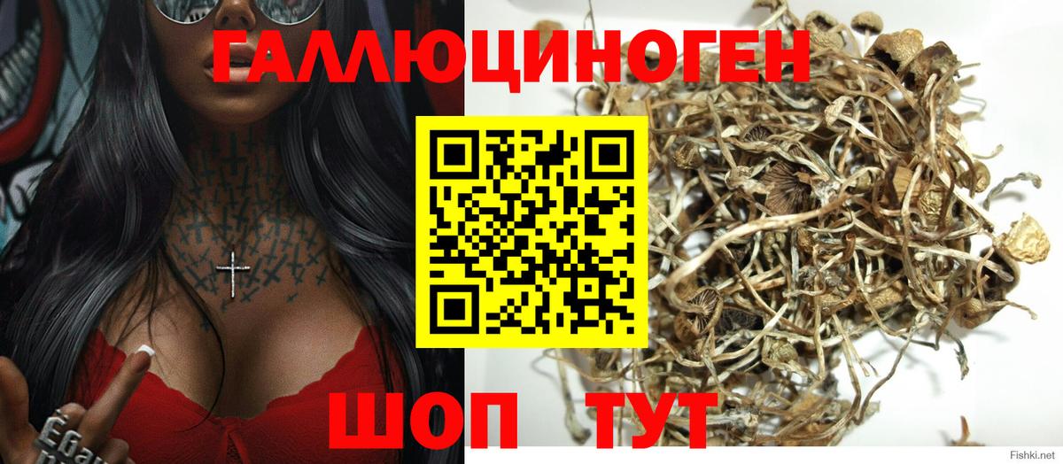 закладка  Вход с VPN  Оренбург  Псилоцибиновые грибы мицелий 